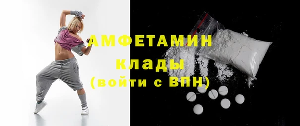 амф Богданович