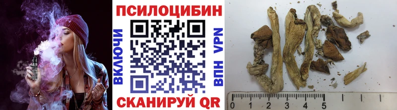 хочу наркоту  hydra онион  Галлюциногенные грибы прущие грибы  Невель 